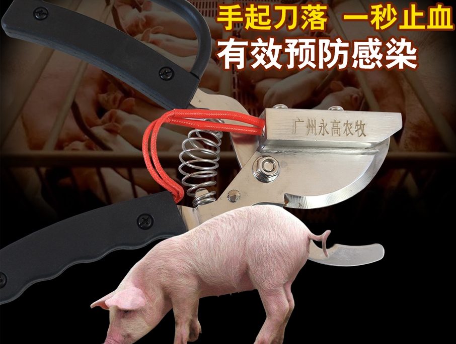 牧斯德仔猪断尾钳，电热断尾钳，牧斯德兽用器械