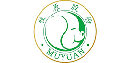 Musyder Partner--Food of origin