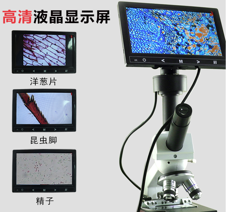 1600视频显微镜