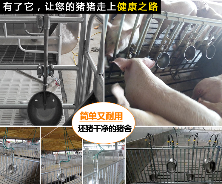 猪用饮水碗