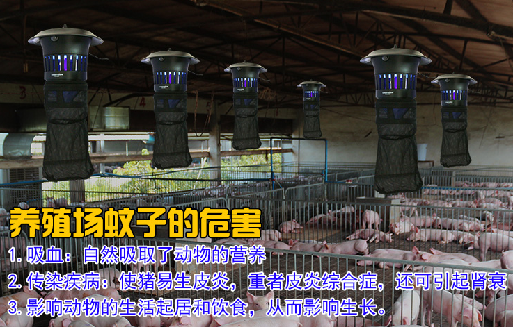 养殖场灭蚊灯