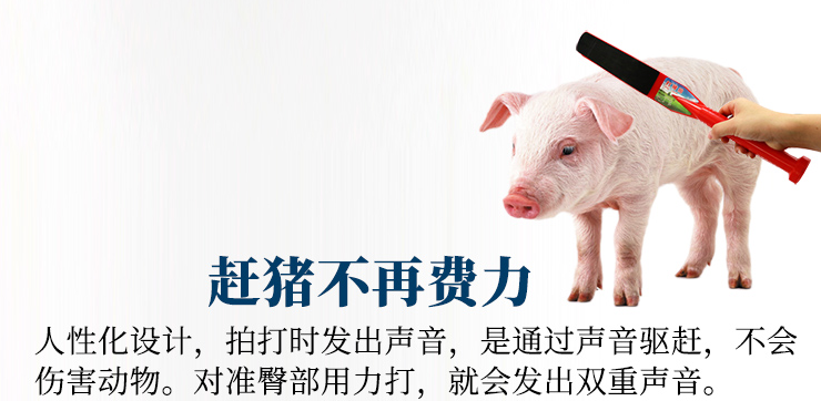 赶猪拍