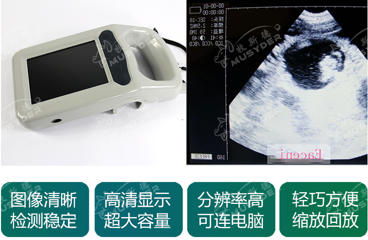 使用法国大欧B超监测母猪