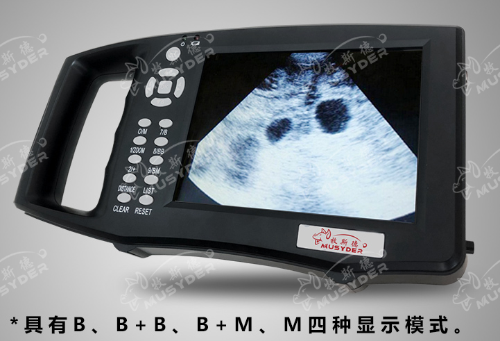 兽用B超
