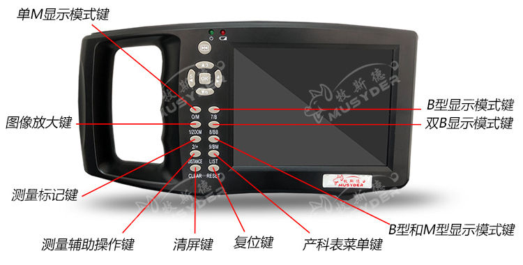 兽用B超