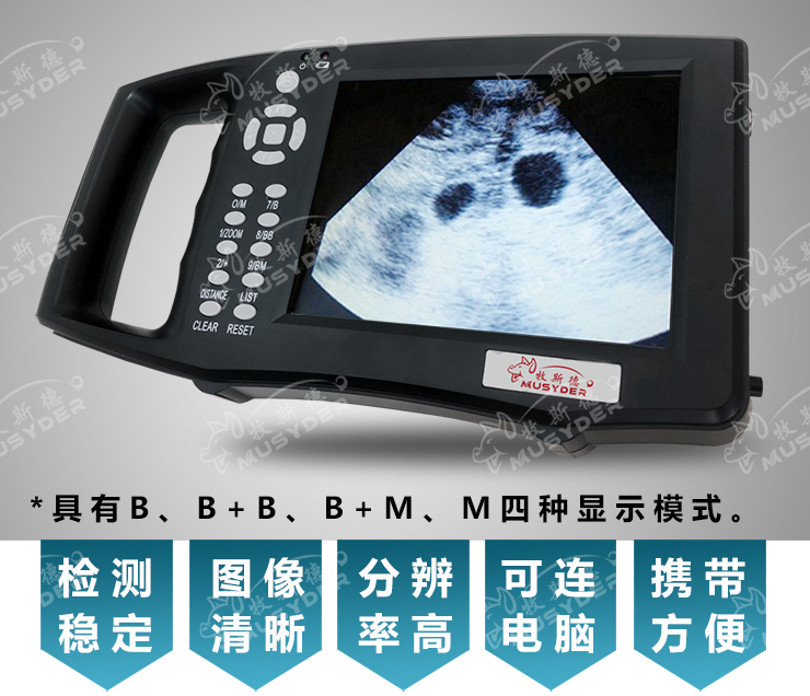 兽用B超